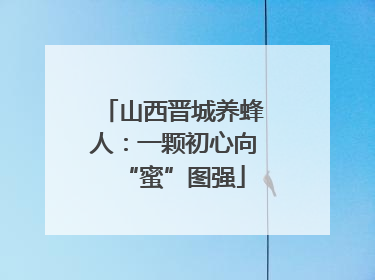 山西晋城养蜂人：一颗初心向“蜜”图强