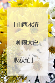 山西永济：种粮大户收获忙