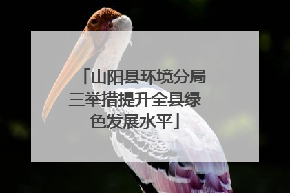 山阳县环境分局三举措提升全县绿色发展水平