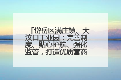岱岳区满庄镇、大汶口工业园：完善制度、贴心护航、强化监管，打造优质营商“强磁场”