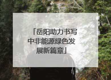 岳阳助力书写中非能源绿色发展新篇章