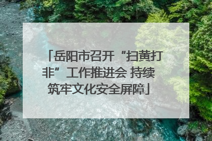 岳阳市召开“扫黄打非”工作推进会 持续筑牢文化安全屏障