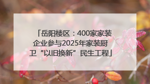 岳阳楼区：400家家装企业参与2025年家装厨卫“以旧换新”民生工程