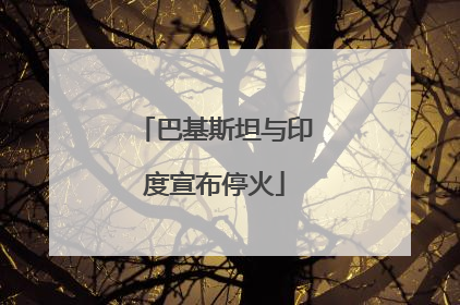 巴基斯坦与印度宣布停火