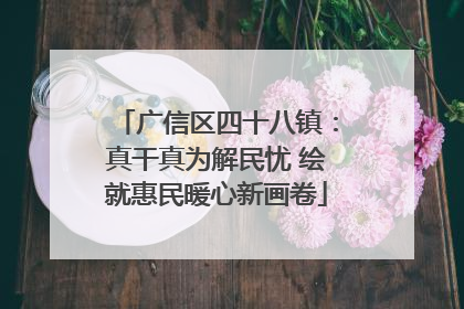 广信区四十八镇：真干真为解民忧 绘就惠民暖心新画卷