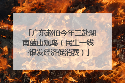 广东赵伯今年三赴湖南蓝山观鸟（民生一线·银发经济促消费）