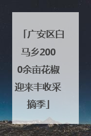 广安区白马乡2000余亩花椒迎来丰收采摘季