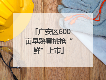 广安区600亩早熟黄桃抢“鲜”上市