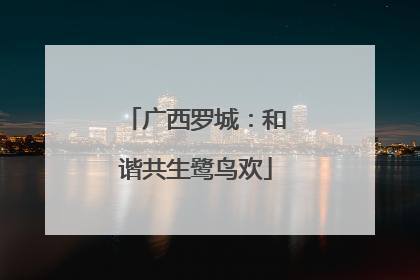 广西罗城：和谐共生鹭鸟欢