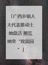 广西乡镇人大代表推动土地盘活 撂荒地变“致富园”