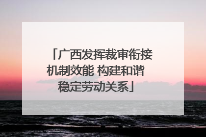广西发挥裁审衔接机制效能 构建和谐稳定劳动关系
