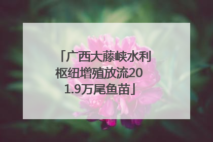 广西大藤峡水利枢纽增殖放流201.9万尾鱼苗