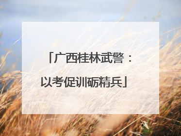 广西桂林武警：以考促训砺精兵