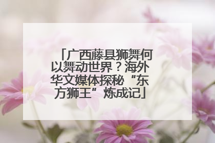 广西藤县狮舞何以舞动世界？海外华文媒体探秘“东方狮王”炼成记