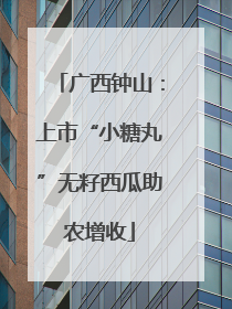 广西钟山：上市“小糖丸”无籽西瓜助农增收