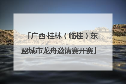广西·桂林（临桂）东盟城市龙舟邀请赛开赛