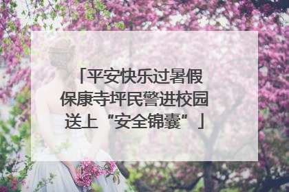 平安快乐过暑假 保康寺坪民警进校园送上“安全锦囊”
