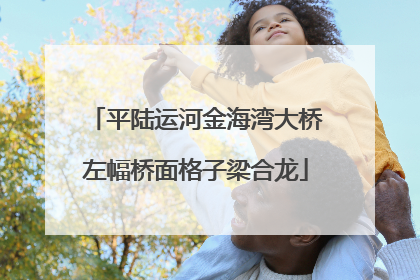 平陆运河金海湾大桥左幅桥面格子梁合龙