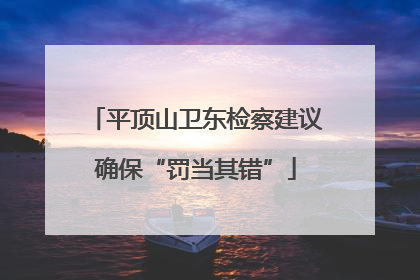 平顶山卫东检察建议确保“罚当其错”