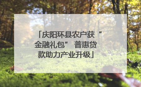 庆阳环县农户获“金融礼包” 普惠贷款助力产业升级