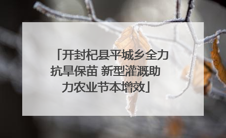 开封杞县平城乡全力抗旱保苗 新型灌溉助力农业节本增效