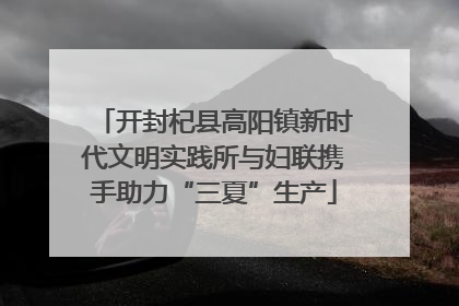 开封杞县高阳镇新时代文明实践所与妇联携手助力“三夏”生产