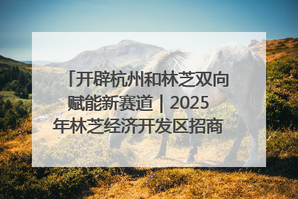 开辟杭州和林芝双向赋能新赛道｜2025年林芝经济开发区招商引资（杭州）推介展销活动在杭举办