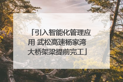 引入智能化管理应用 武松高速杨家湾大桥架梁提前完工