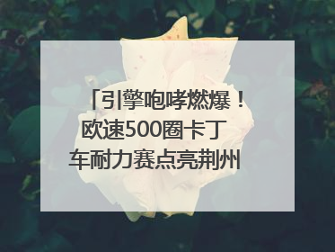 引擎咆哮燃爆！欧速500圈卡丁车耐力赛点亮荆州文旅新名片