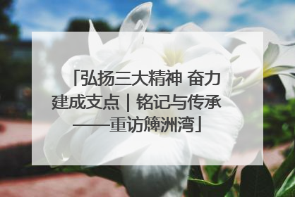 弘扬三大精神 奋力建成支点｜铭记与传承——重访簰洲湾