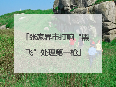 张家界市打响“黑飞”处理第一枪