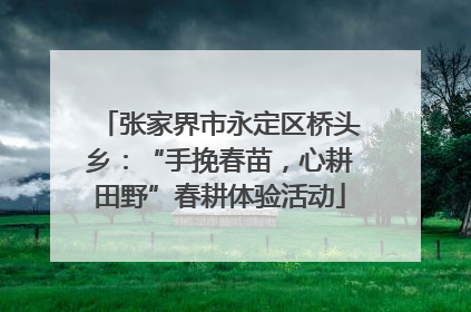 张家界市永定区桥头乡：“手挽春苗，心耕田野”春耕体验活动