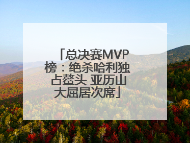 总决赛MVP榜：绝杀哈利独占鳌头 亚历山大屈居次席