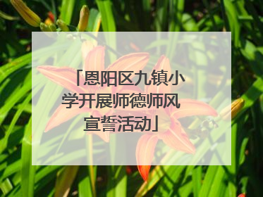 恩阳区九镇小学开展师德师风宣誓活动