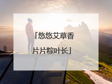 悠悠艾草香 片片粽叶长