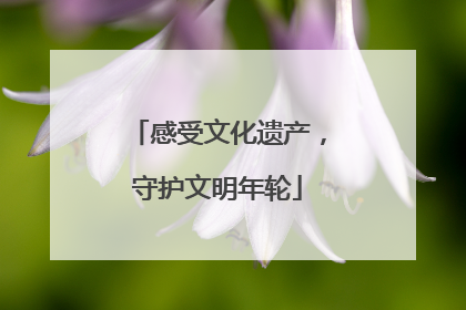 感受文化遗产，守护文明年轮
