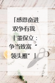 感恩奋进 双争有我丨董保立：争当致富“领头雁”