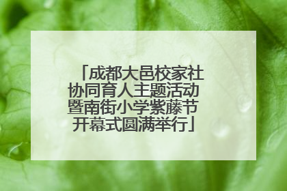 成都大邑校家社协同育人主题活动暨南街小学紫藤节开幕式圆满举行