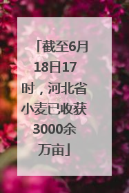 截至6月18日17时，河北省小麦已收获3000余万亩