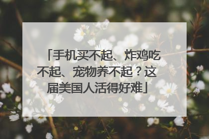 手机买不起、炸鸡吃不起、宠物养不起？这届美国人活得好难