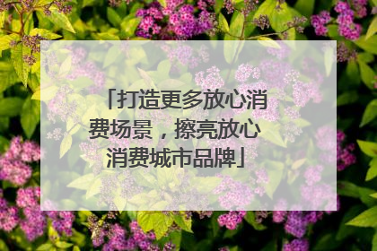 打造更多放心消费场景，擦亮放心消费城市品牌