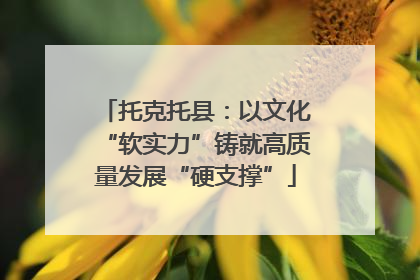 托克托县：以文化“软实力”铸就高质量发展“硬支撑”