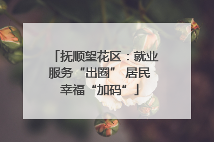 抚顺望花区：就业服务“出圈” 居民幸福“加码”