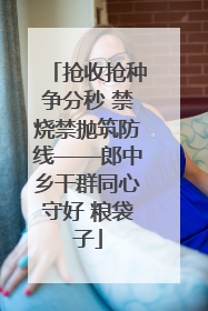抢收抢种争分秒 禁烧禁抛筑防线——郎中乡干群同心守好 粮袋子