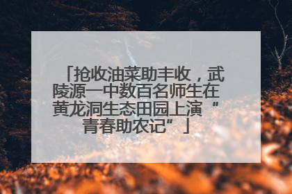 抢收油菜助丰收，武陵源一中数百名师生在黄龙洞生态田园上演“青春助农记”