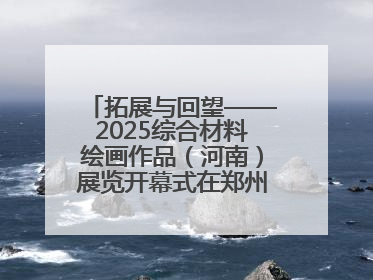 拓展与回望——2025综合材料绘画作品（河南）展览开幕式在郑州美术馆举办