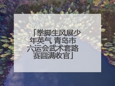 拳脚生风展少年英气 青岛市六运会武术套路赛圆满收官