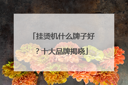挂烫机什么牌子好？十大品牌揭晓