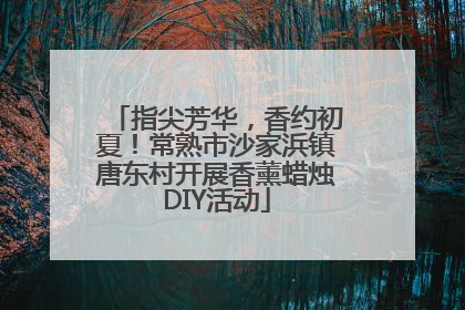 指尖芳华，香约初夏！常熟市沙家浜镇唐东村开展香薰蜡烛DIY活动