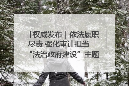 权威发布｜依法履职尽责 强化审计担当 “法治政府建设”主题系列新闻发布会市审计局专场召开